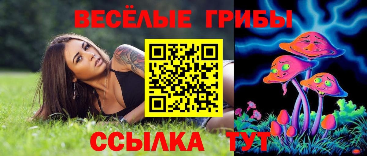 Миасс  Псилоцибиновые грибы Psilocybine cubensis  Псилоцибиновые грибы GOLDEN TEACHER  Вход с VPN 