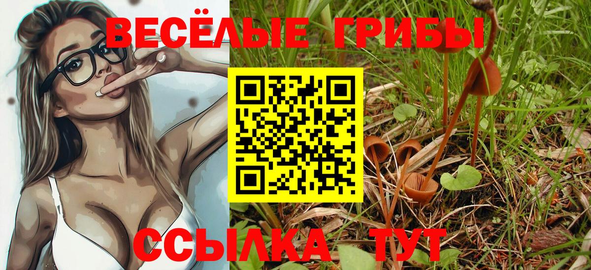 Галлюциногенные грибы Psilocybine cubensis Миасс
